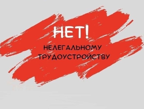 Информация о противодействии нелегальной занятости в 2025 году Информация о противодействии нелегальной занятости в 2025 году.