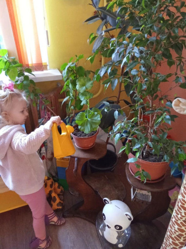 НОД НОД.